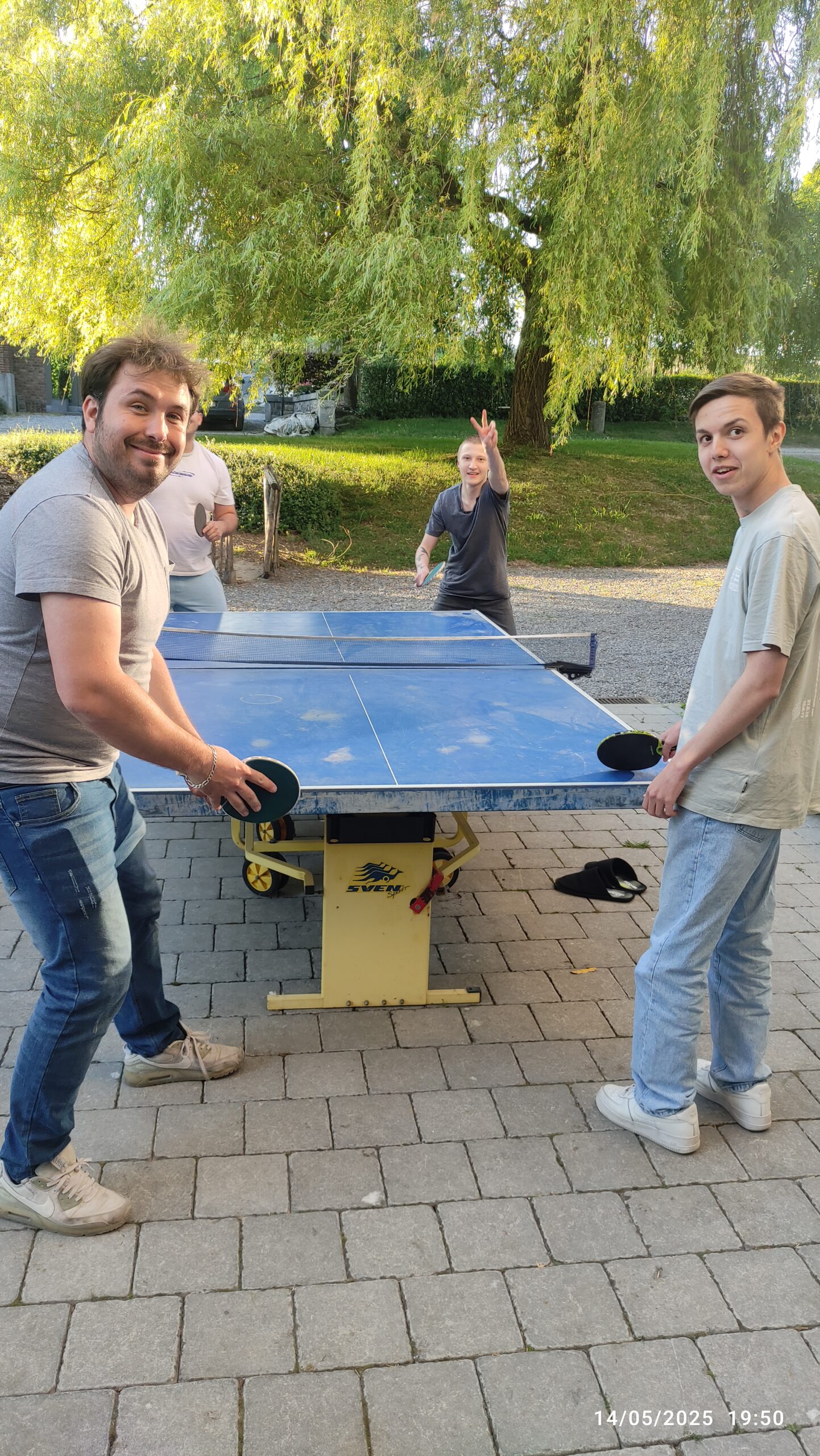 Activité après la formation