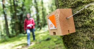 Course d'orientation